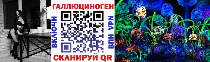 Псилоцибиновые грибы GOLDEN TEACHER цены Петухово